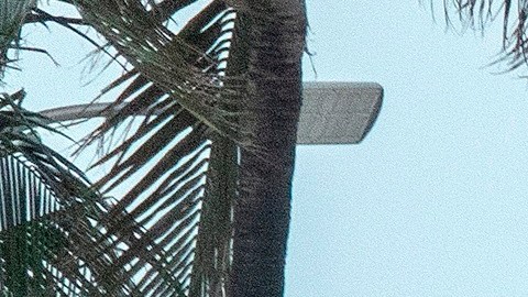 Rescatistas continúan la búsqueda de personas en el edificio derrumbado en Miami.