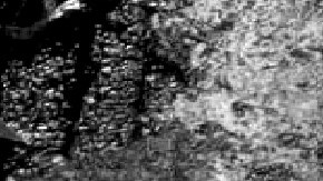 El Mencho cumple amenaza y narcos del CJNG matan a jefe de sicarios del hombre que secuestró a su tío