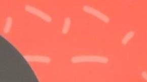 Emir Pabón y su esposa, Stefanía de Aranda.