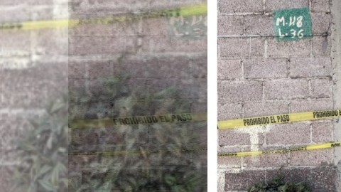 Familia es hallada muerta y enterrada en su propia casa; una niña de 10 años entre víctimas