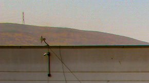 Miles de tijuanenses hacen fila para recibir la vacuna.