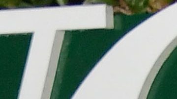 Quién es Janet Von Schmeling, la misteriosa esposa del cantante Drake Bell