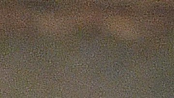 Los signos de la realeza