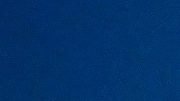 En los barrios donde viven los latinos y afroamericanos hay más paradas de la policía con el pretexto de una violación vial. Foto de archivo.