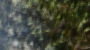 Los bomberos solo han podido contener el fuego de "Dixie" en un 15%.