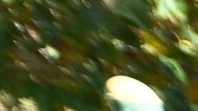 Cientos de personas tienen la libertad de seguir usando su mascarilla. / foto: Getty.