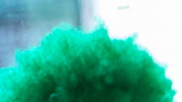 Connecticut legalizó finalmente el consumo de marihuana recreativa