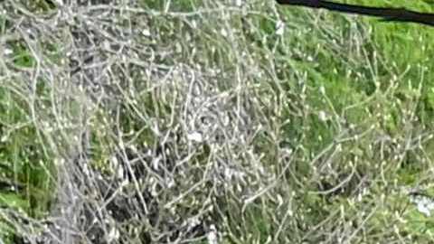 Accidente de teleférico en Italia.