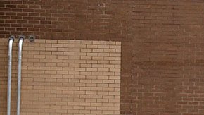 JBS empresa de cárnicos