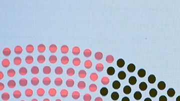 “Se reafirmó el camino hacia la democracia”, señala AMLO tras elecciones intermedias en México