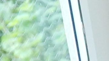 La Primera Dama Jill Biden y Kate Middleton, Duquesa de Cambridge, conversan con los niños durante una visita a la Academia Connor Downs.