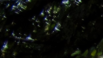 La policía de Austin investiga el área donde ocurrió el tiroteo que causó 14 heridos.