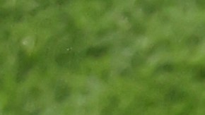 Entrenador de Rusia, Stanislav Cherchésov.