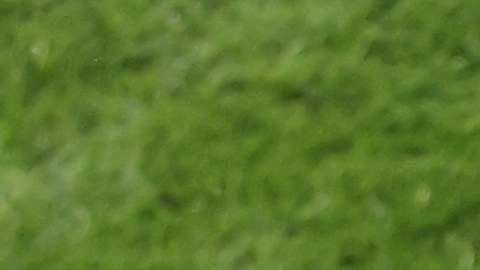 Entrenador de Rusia, Stanislav Cherchésov.