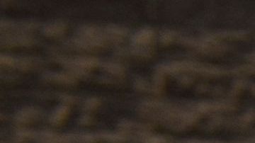 Avalancha de récords de calor en California y las autoridades extienden la Alerta Flex