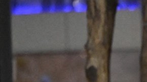 Ya hay cajeros automáticos de bitcoins en El Salvador.