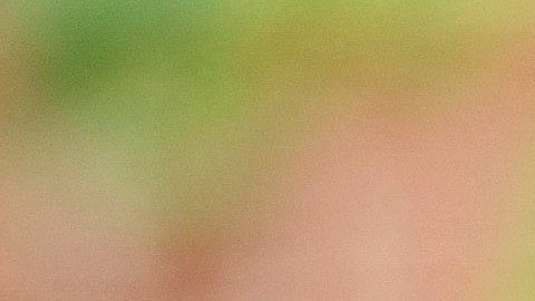 Trudeau dijo que este Día de Canadá debería ser un momento de reflexión un día después del informe de 751 tumbas sin nombre.