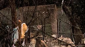 Miami Beach derrumbe edificio