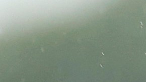 Torres ocupa el puesto 45 del ranking olímpico para clasificar a Tokio 2020.