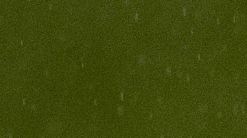 Higuaín ha disputado 16 partidos en la MLS, donde ha logrado anotar cinco goles.