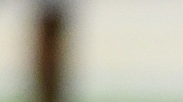 La casaca de Carl Nassib, de los Raiders de las Vegas, es el artículo más vendido de la NFL-GettyImages-1285835224.jpeg