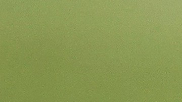 El técnico Gerardo Martino estudiará la posibilidad de incluirlos en la convocatoria final.