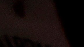 El American Airlines Arena ahora se llama FTX Arena.