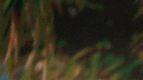 Jack Dorsey invita a Elon Musk a hablar de bitcoin en "the B word".