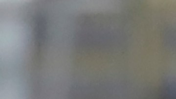 Marcelo Moreno Martins