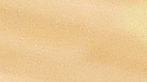 Los involucrados fueron separados por sus compañeros antes que se fueran a las manos.