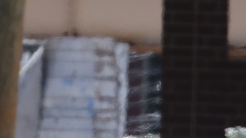 Al menos 4 personas murieron en el tiroteo masivo ocurrido el 15 de junio en Chicago.