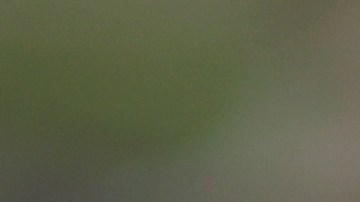 Predicciones Euro 2020