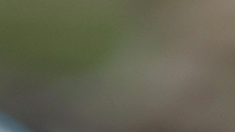 Predicciones Euro 2020