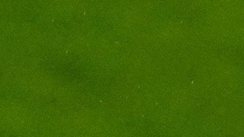 Phil Foden fue el precursor de este look en la presente edición de la Eurocopa.