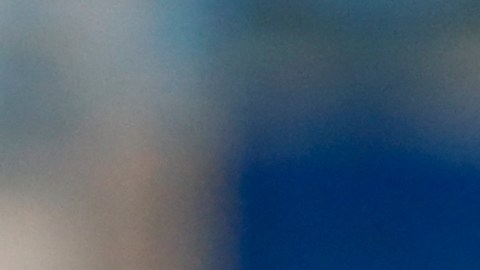 No se especificó cuáles fueron los  jugadores que rompieron la "burbuja sanitaria".