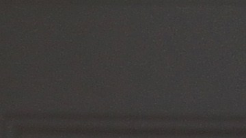 Champ Biden acompañó al entonces vicepresidente Joe Biden durante un discurso en el Observatorio Naval en 2012.