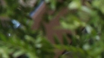 Six Flags pagará $36 millones de dólares por recolectar datos biométricos sin autorización