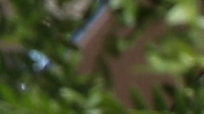 Six Flags pagará $36 millones de dólares por recolectar datos biométricos sin autorización