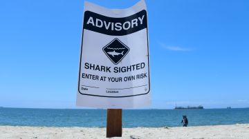 La playa estatal Grey Whale Cove fue cerrada tras el incidente. Foto de archivo.