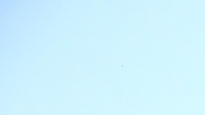 Conductor embiste y mata con su camioneta a una persona en Sacramento