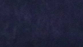 Pérez afirmó que fue un año difícil para el técnico.