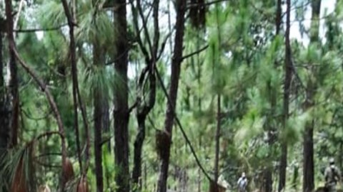 Guajes de Ayala, Coyuca de Catalán, Guerrero Cártel de La Familia Michoacana