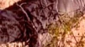 Hallan 9 cuerpos, entre ellos de 2 mujeres en zona que el Mayo Zambada y el Mencho se pelean