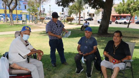 Adultos mayores se cubren del sol bajo la sombra de un árbol en el Parque Rubén Salazar.