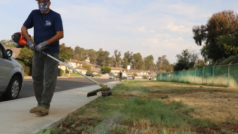 Los jardineros no han dejado de trabajar a pesar de las altas temperaturas.