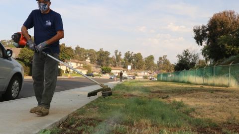 Los jardineros no han dejado de trabajar a pesar de las altas temperaturas.