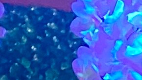 El inmigrante pinta sobre pared, ventanas, madera, entre otros elementos. / fotos: Jorge Luis Macías.