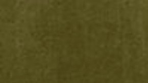 María Celeste Arrarás