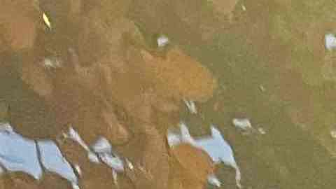 Varios equipos de emergencia se han trasladado al lugar del derrumbe.