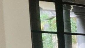 María Celeste Arrarás estrenará un nuevo programa con Univision pero se ha pospuesto la fecha de lanzamiento